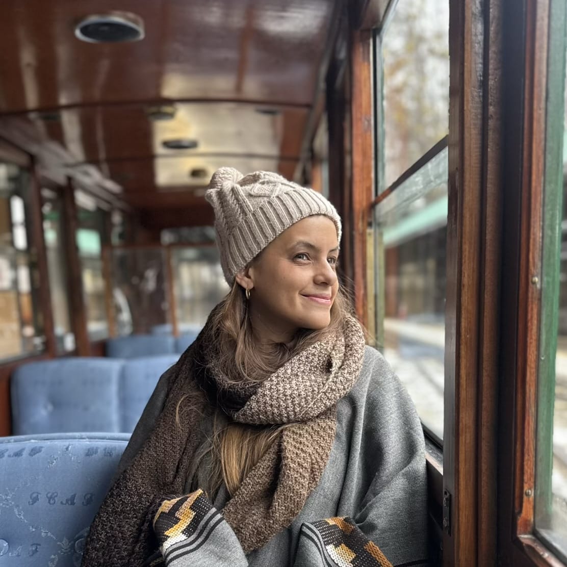 Tren del Fin del Mundo