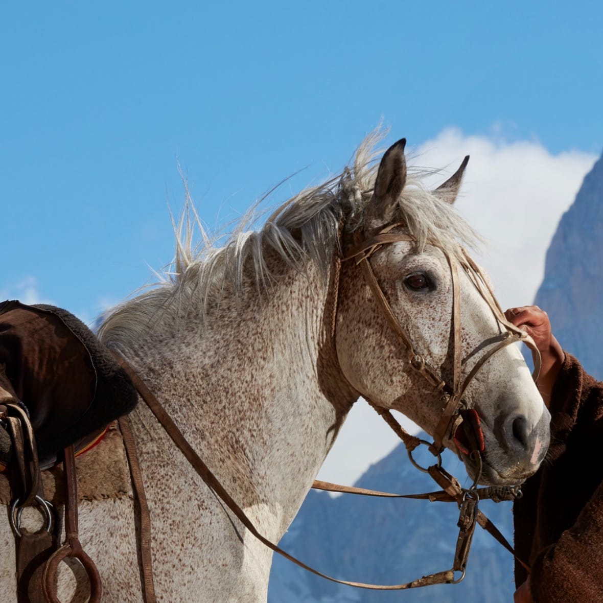 Estancia Bonanza: Short Horseback Ride