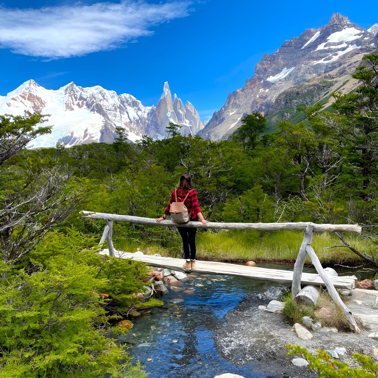 Trekking Laguna Torre full day