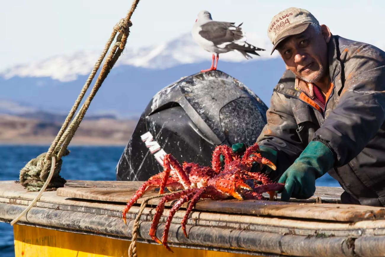 Visita a Puerto Almanza