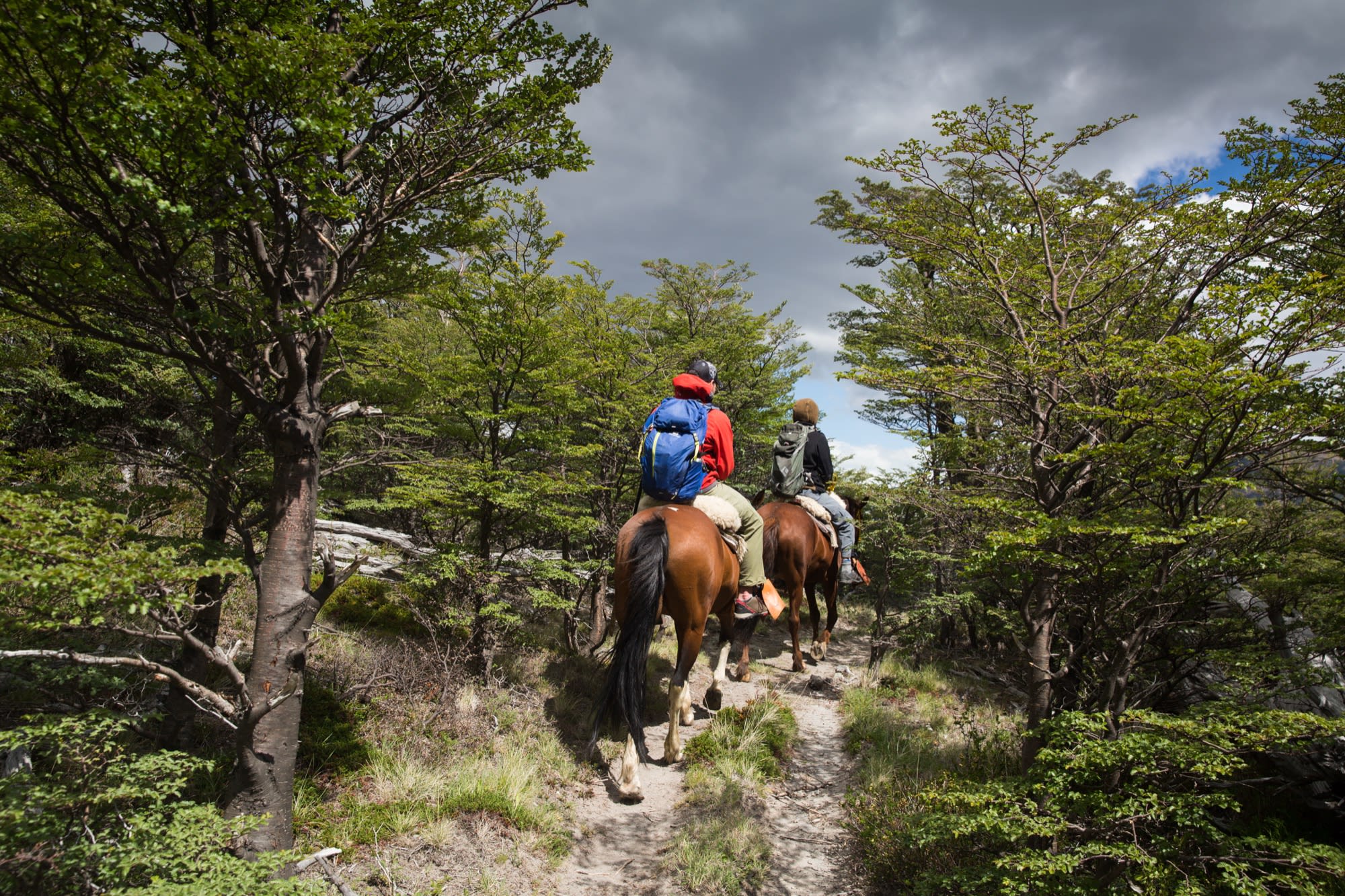 2-hour horseback ride in Estancia Bonanza