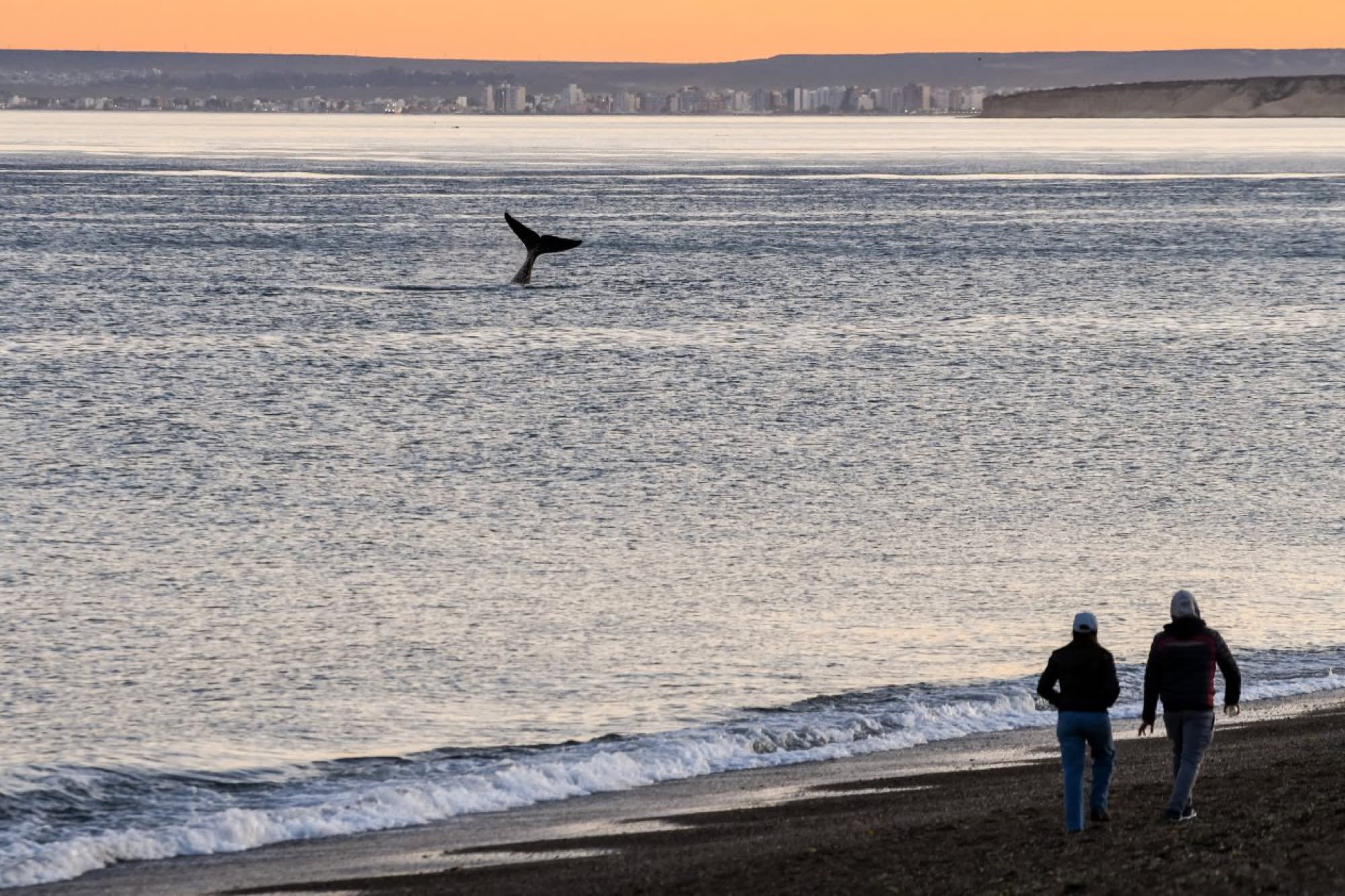 Visita a Playa El Doradillo