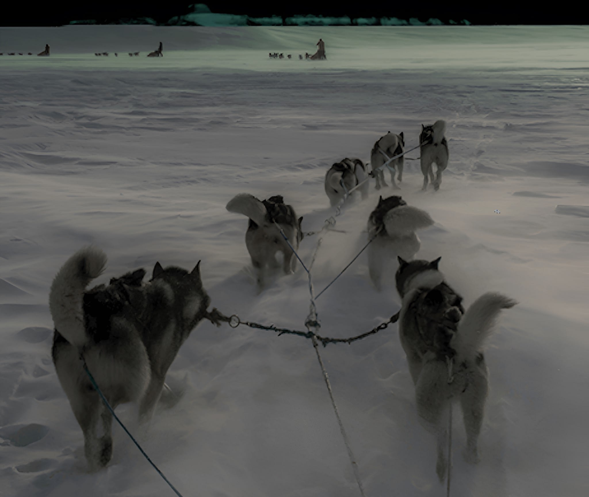 Trineo nocturno tirado por perros