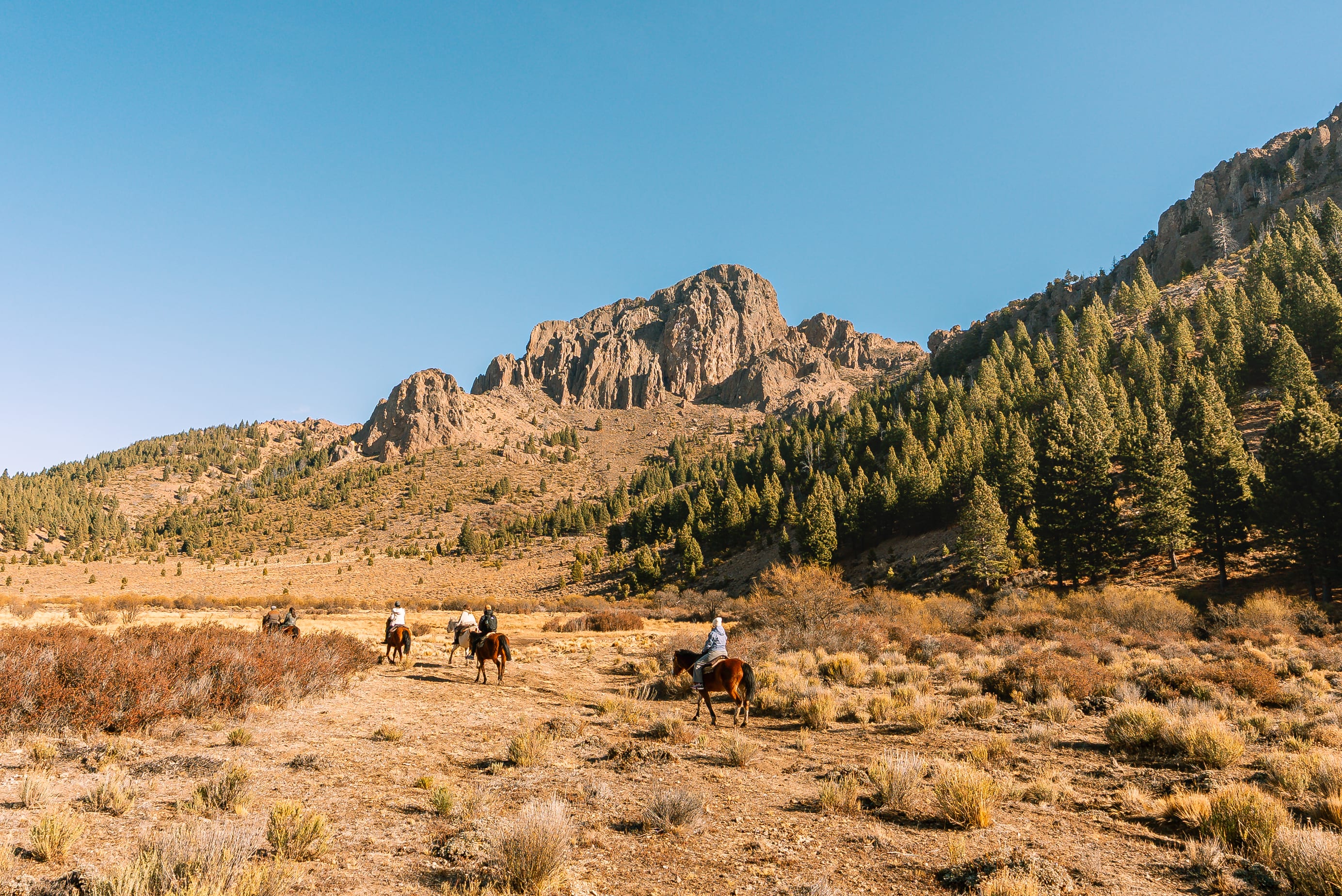 Cabalgata de 2 hs por Estancia San Ramón
