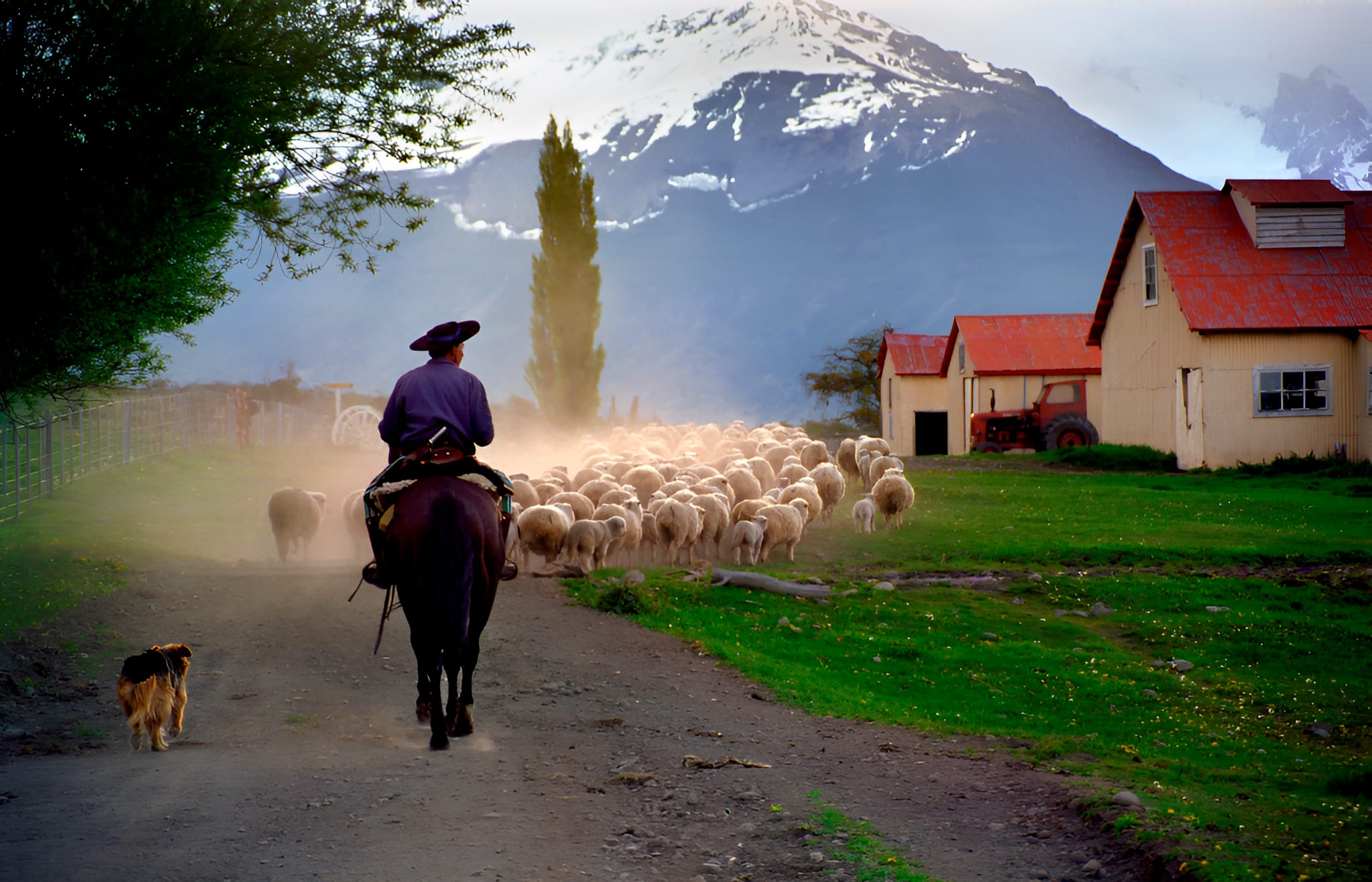 Caminata por los alrededores de la estancia