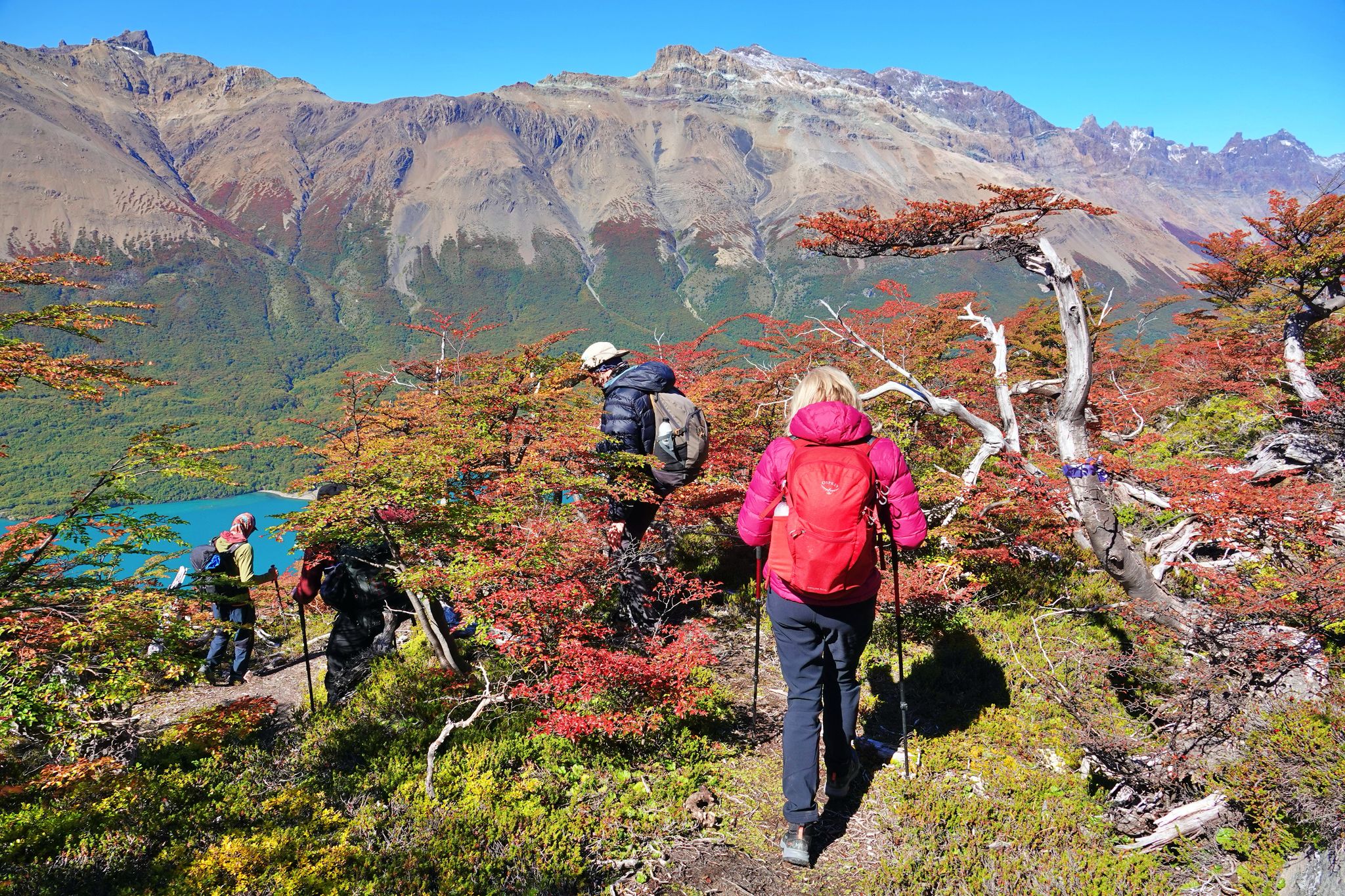 Trekking hacia Glaciar Vespignani