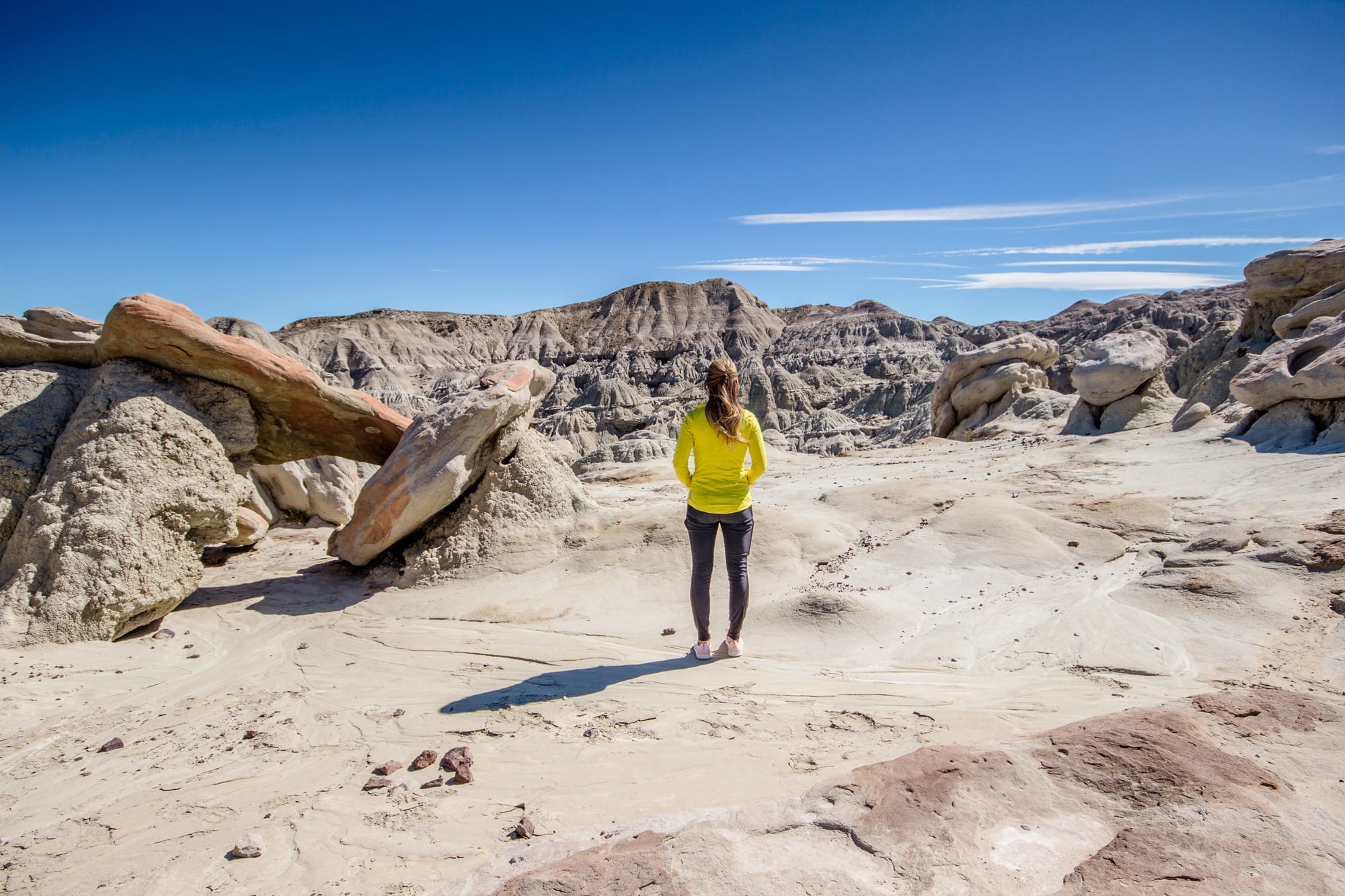 Trekking de 3 horas por bosque petrificado