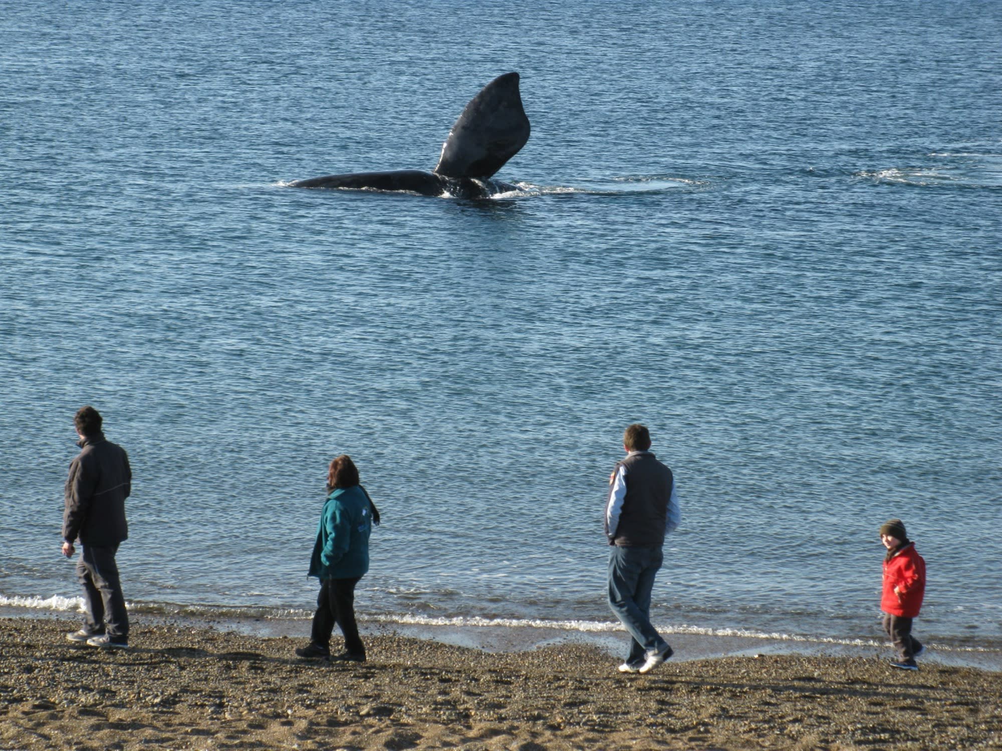 Visita a Playa El Doradillo