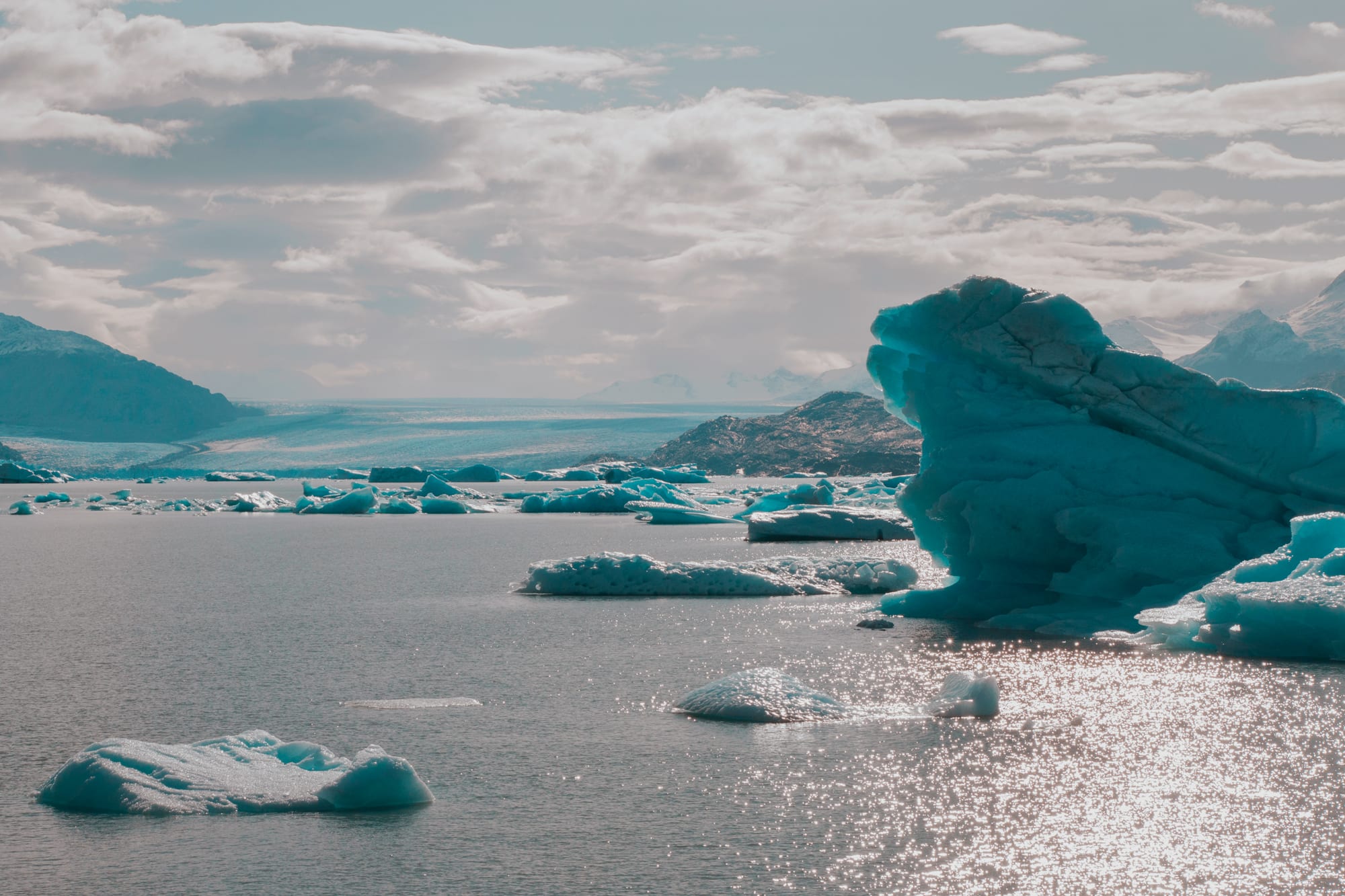 Visita a Glaciar Upsala