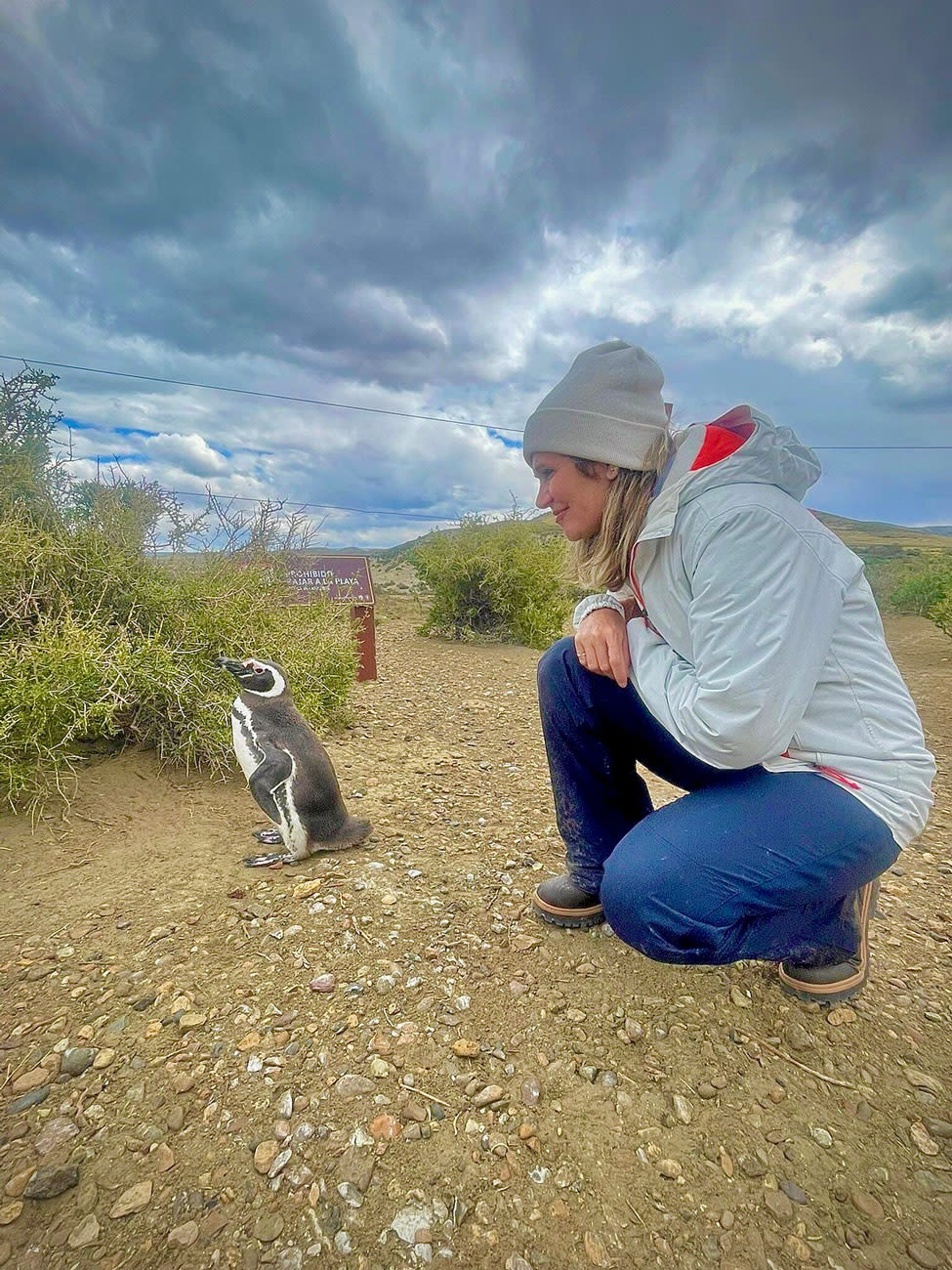 Caminata entre pingüinos