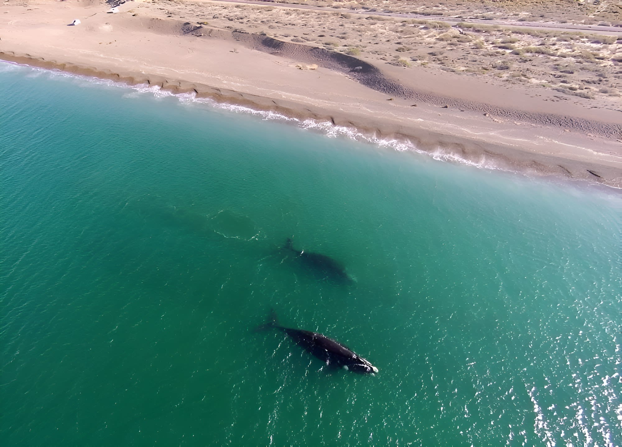 Visita a Playa El Doradillo