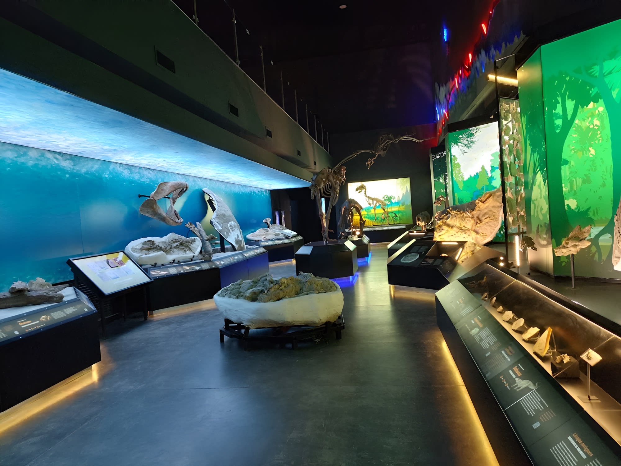 Visita a Museo Paleontológico Egidio Feruglio (MEF)
