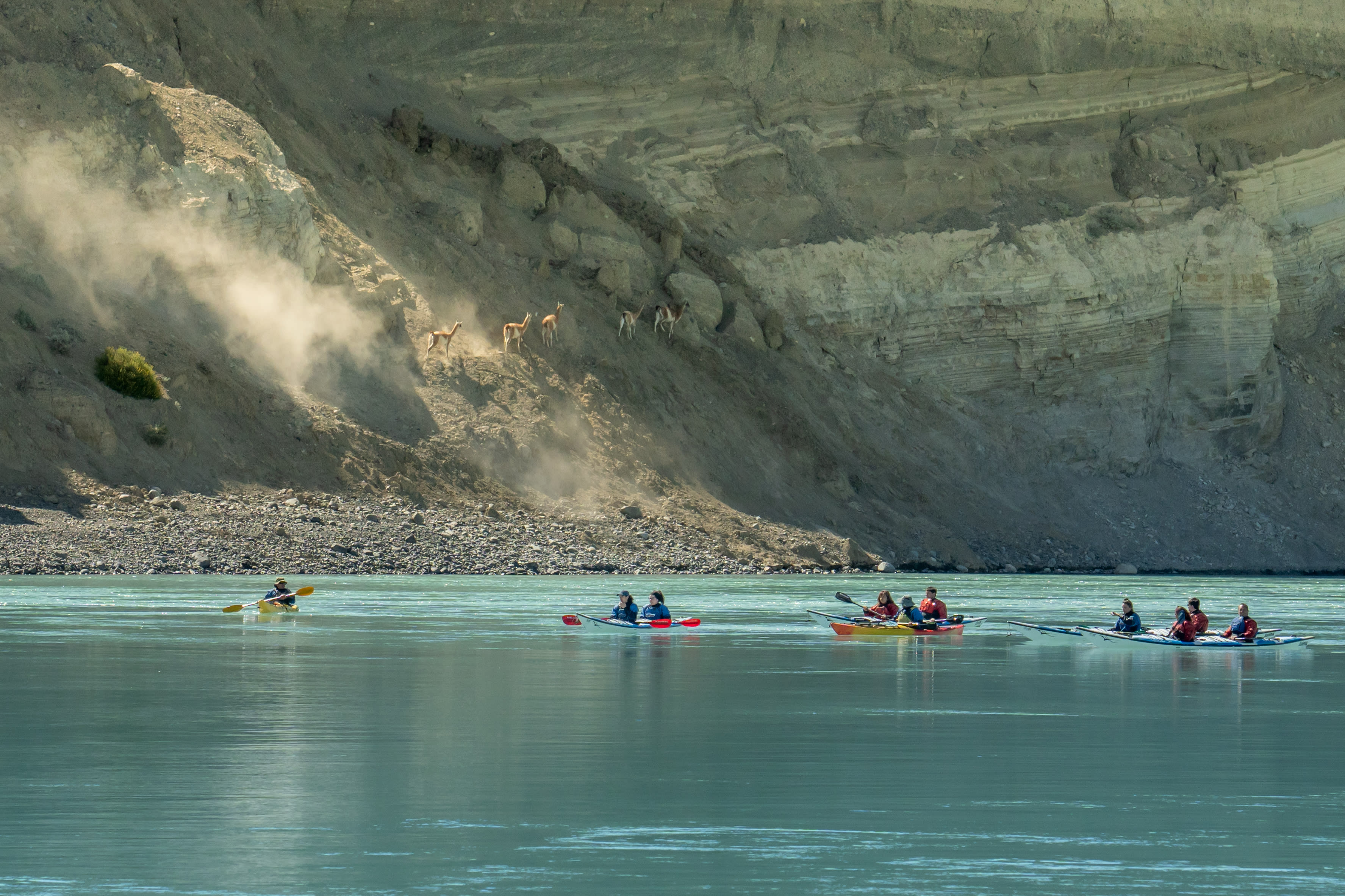 Kayak de 15 km por el Río Santa Cruz
