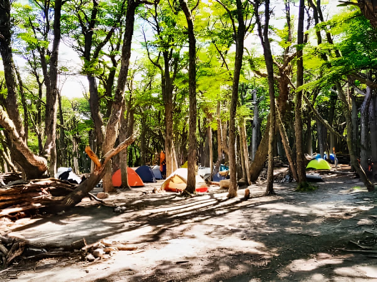 Visita a Campamento Poincenot