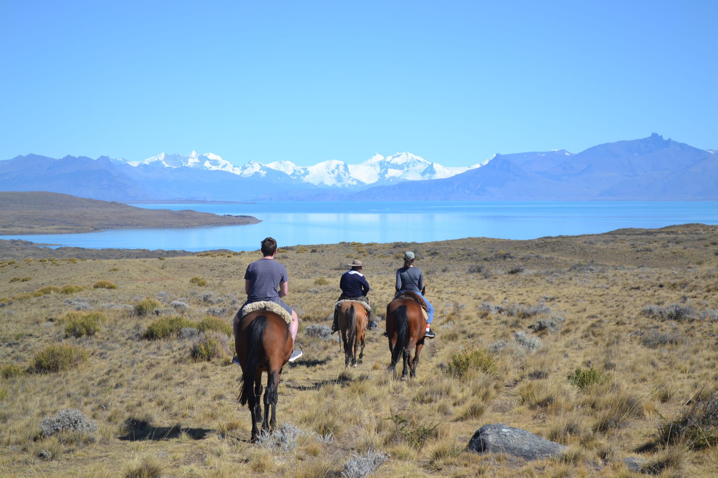 Cabalgata de 2:30 hs por Lago Argentino