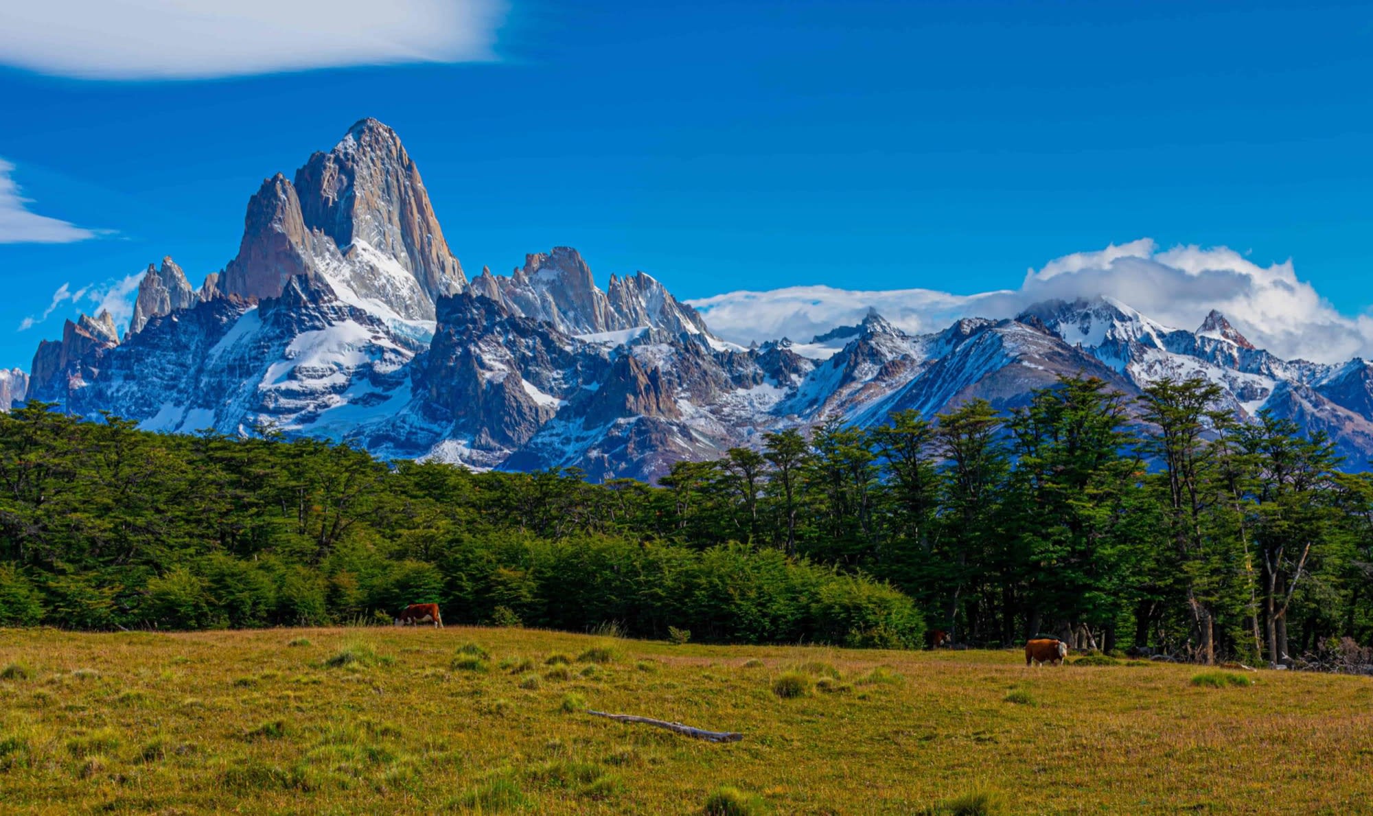 Trekking de alta montaña entre bosques, humedales y estepa