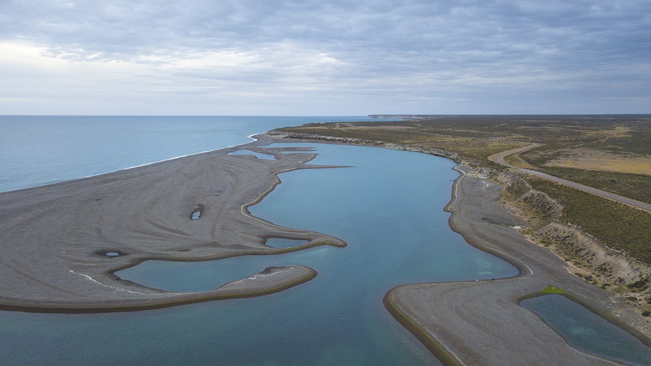 Visita a Caleta Valdés