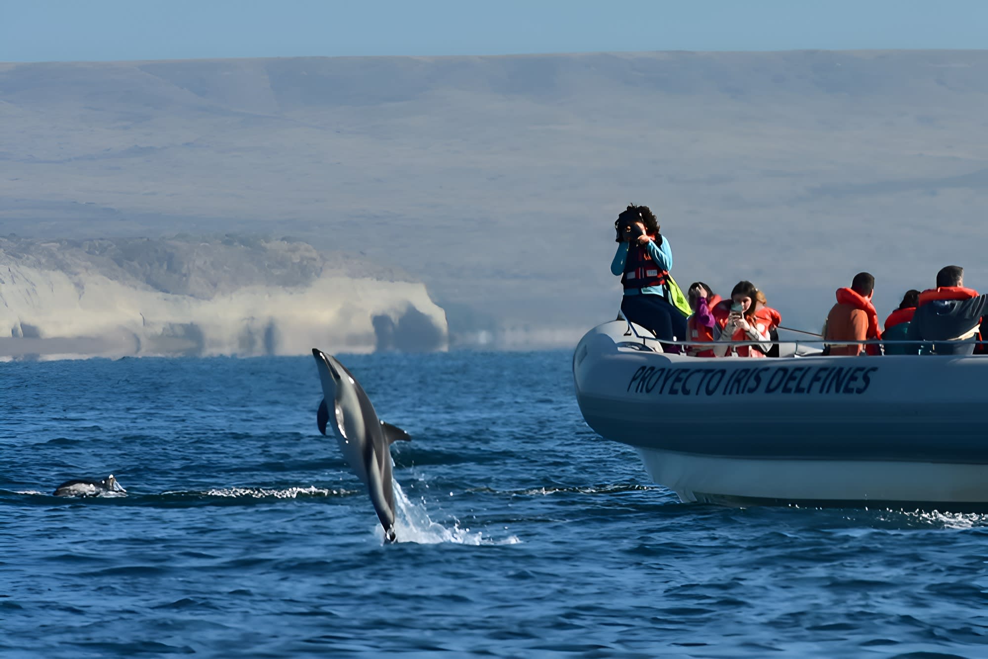 Espectaculares saltos junto a la embarcación