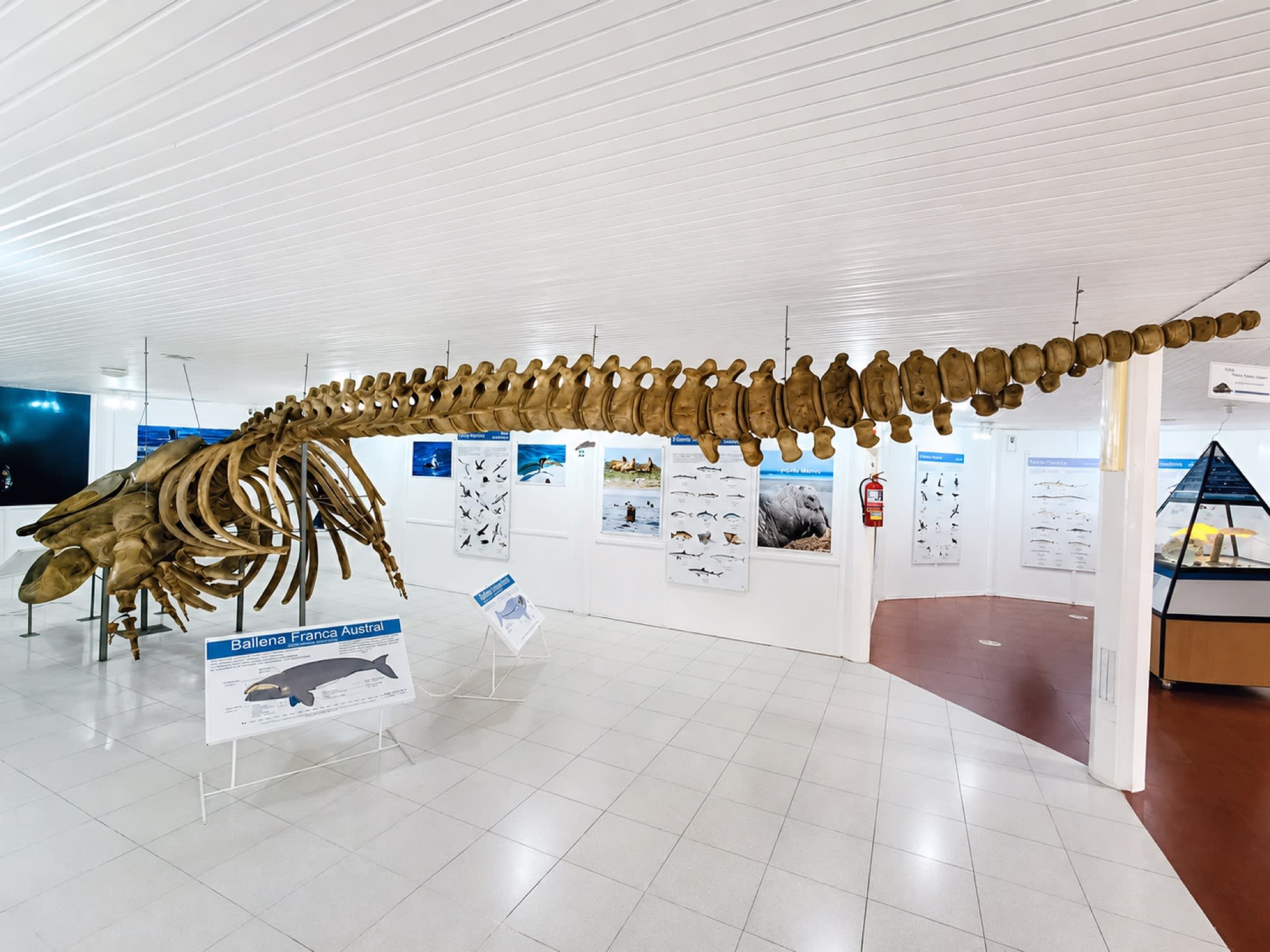 Visita a Centro de Interpretación Carlos Ameghino