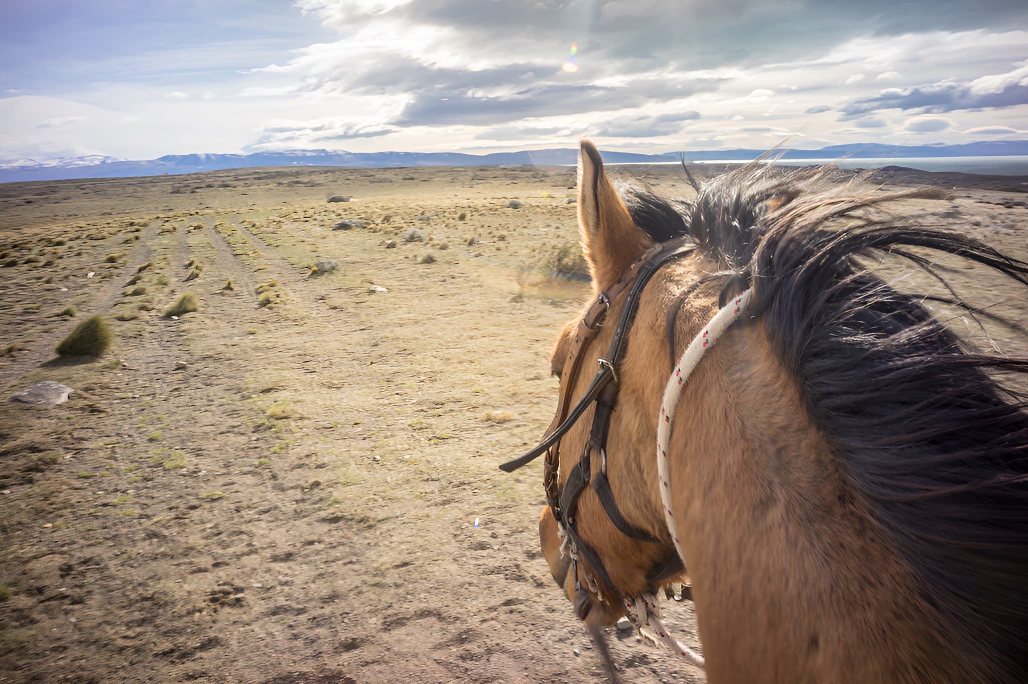 Cabalgata corta a Bahía Redonda