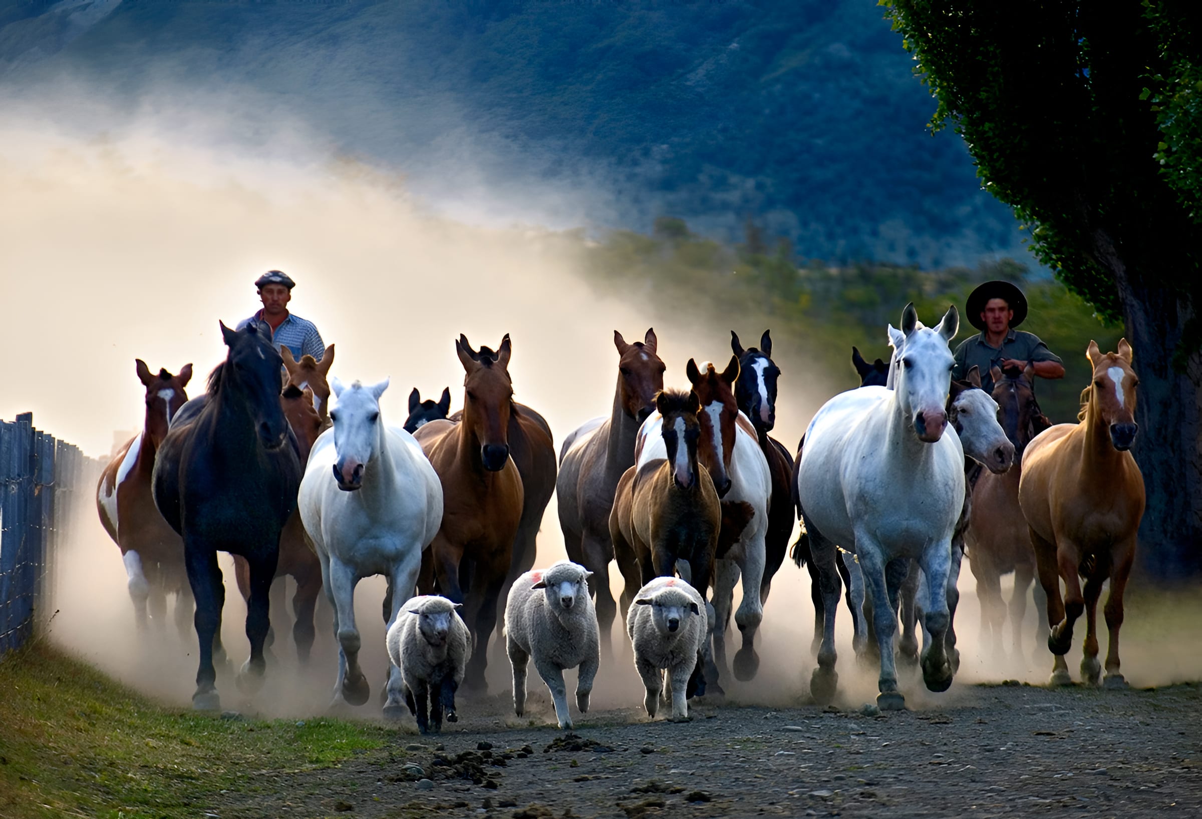 Estancia Nibepo Aike