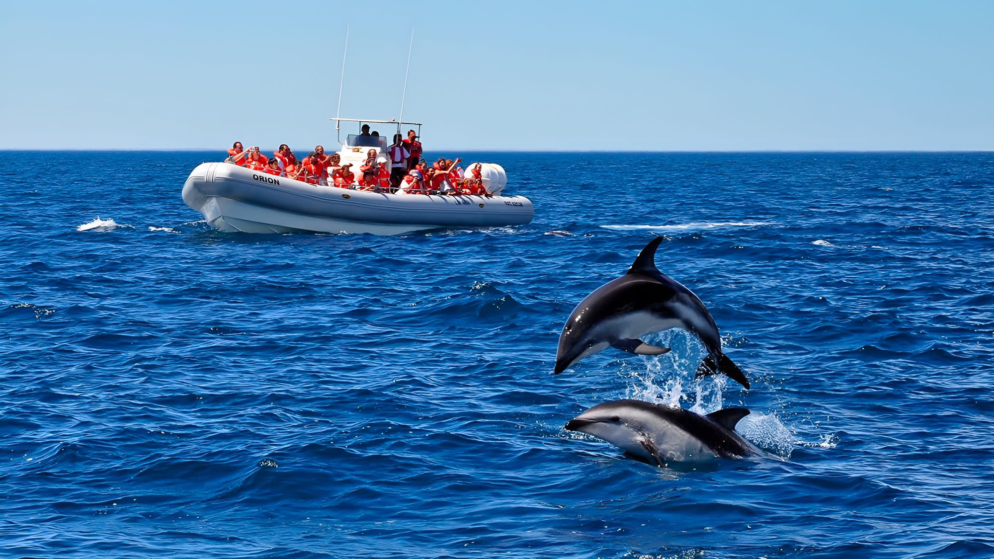 Navegación con Delfines Oscuros