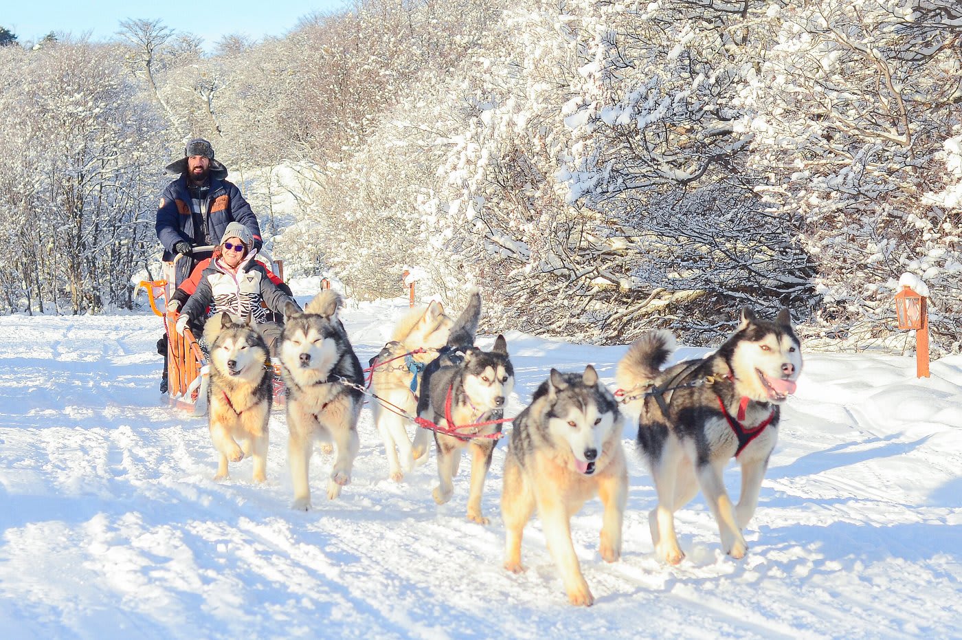 Full Day Nieve: Trineos y Motos