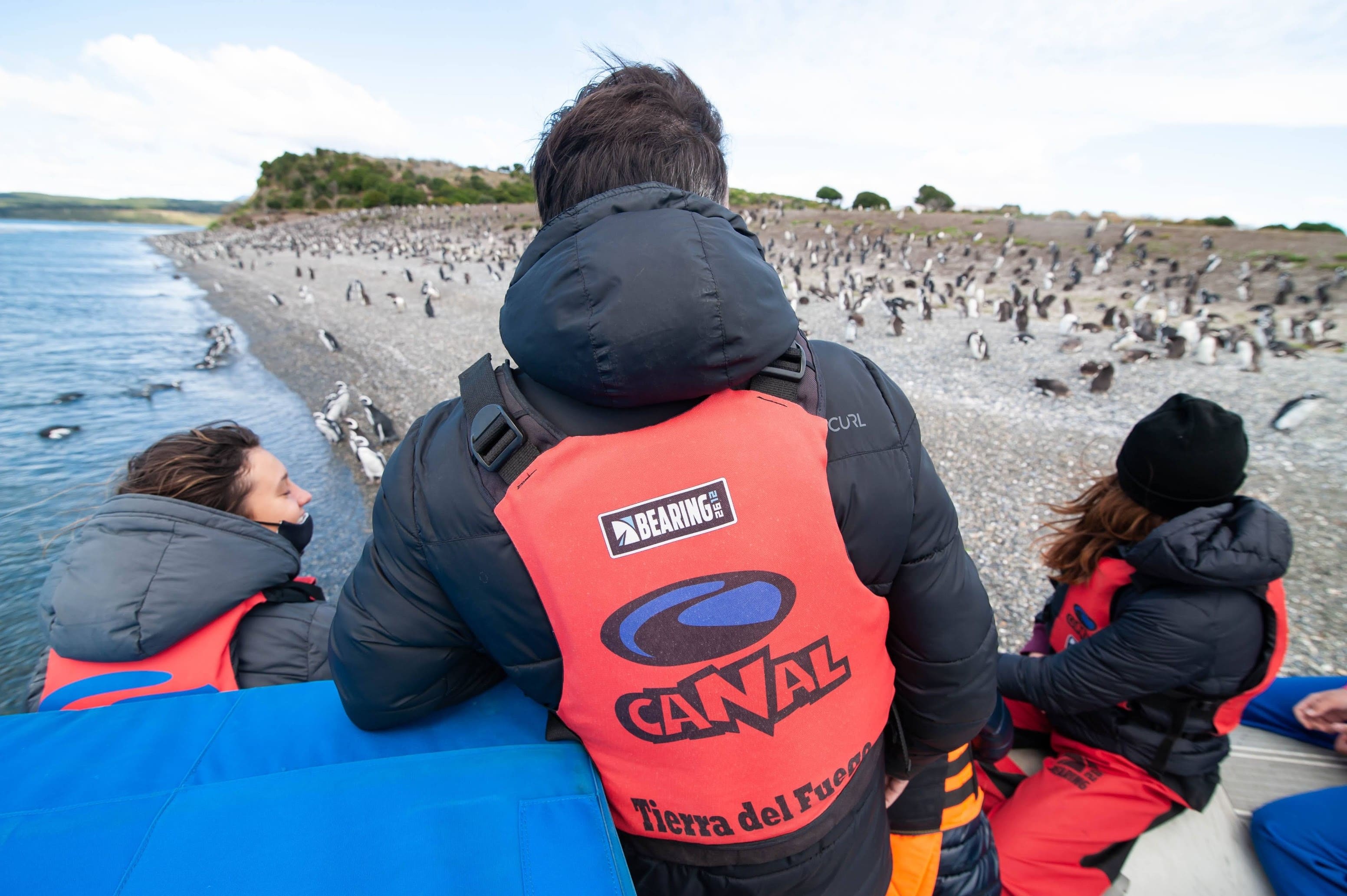 Isla Gable: Pingüinos y Canoas