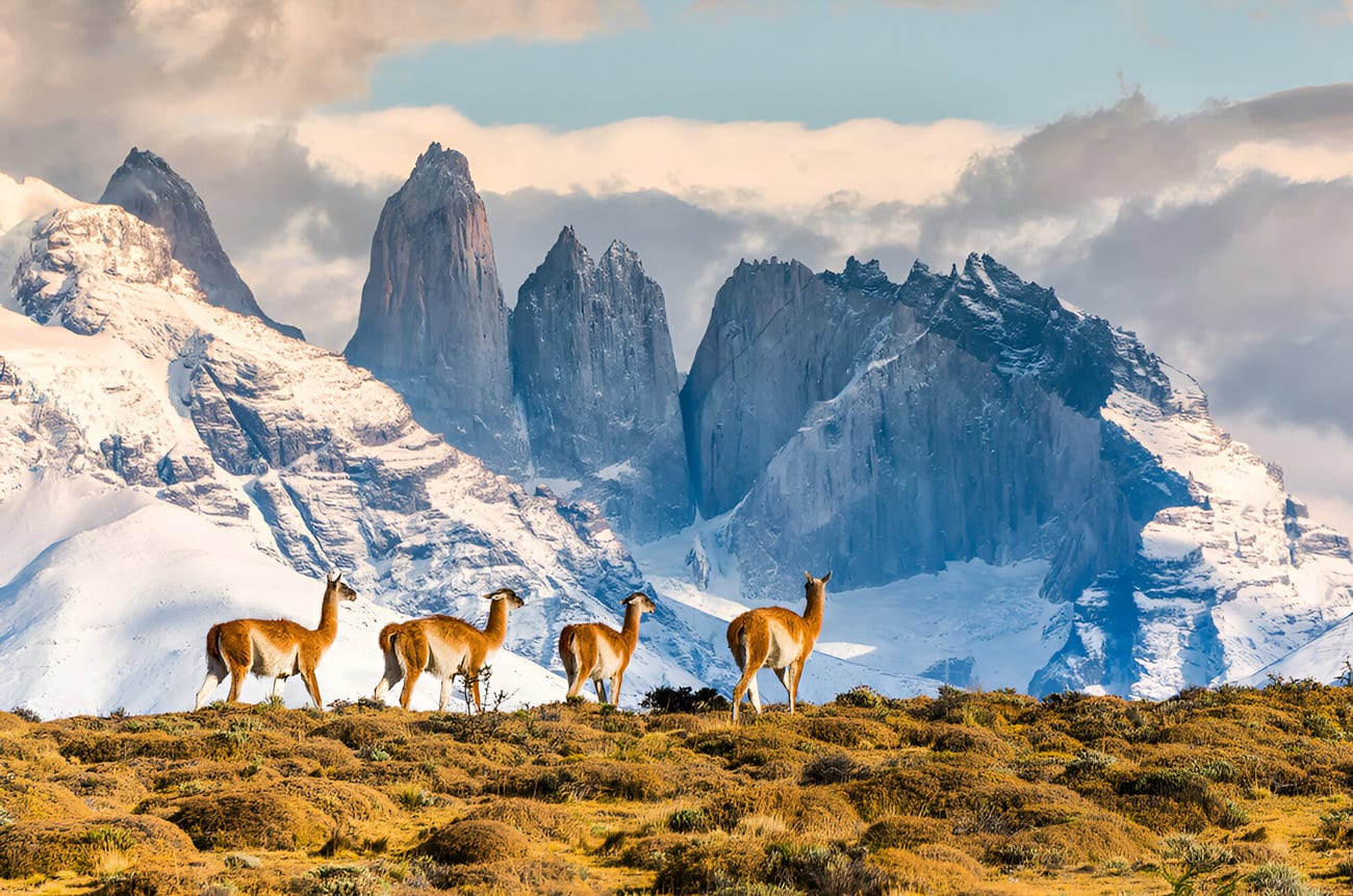 Torres del Paine Full Day